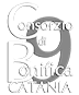 Logo Consorzio 9 Catania